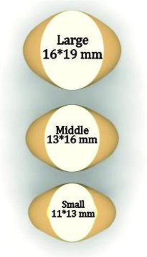Master Mason Blue Lodge Ring - Goat Head Baphomet With Square & Compass G - Bricks Masons