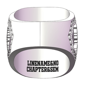 Master Mason Blue Lodge Ring - Prince Hall Gold Face With Rhinestones - Bricks Masons