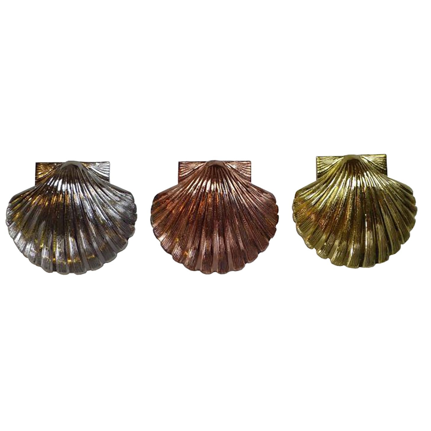 St. Thomas of Acon Shells - Different Sizes and Colors - Bricks Masons